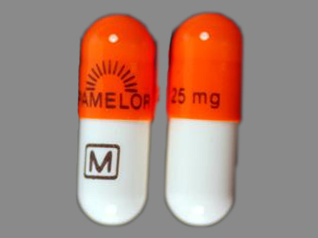 PAMELOR pill