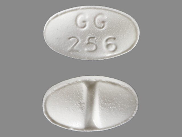 GG256 pill