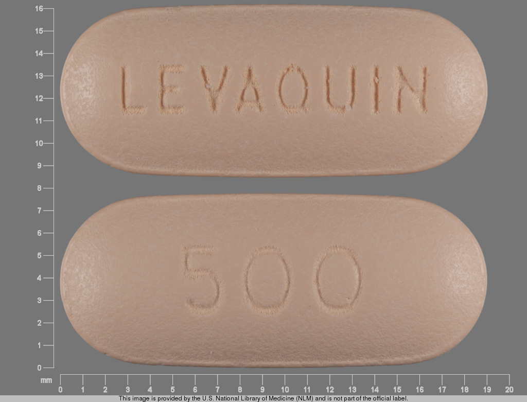 LEVAQUIN pill