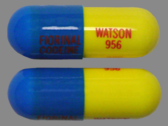 FIORINAL pill