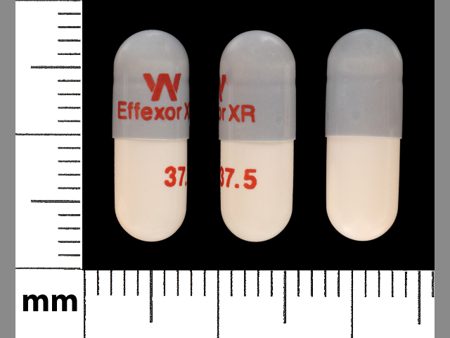 EffexorXR pill