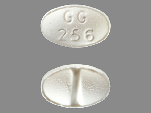 GG256 pill