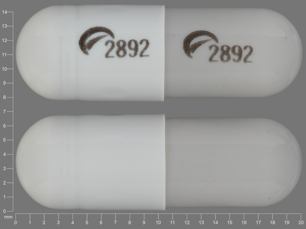 2892 pill